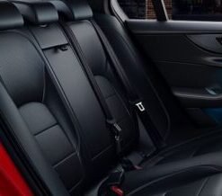 Different type of seats
  installation