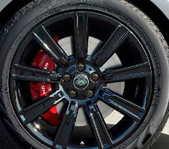 Genuine Brembo
  brakes